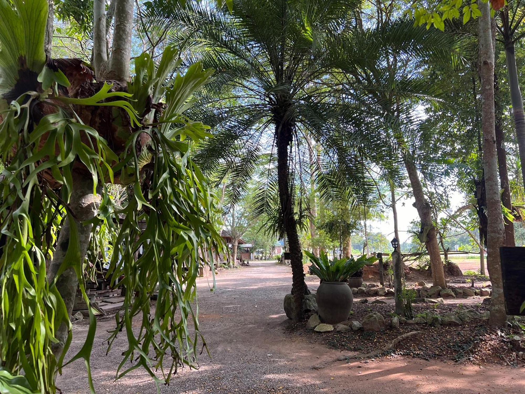 Pang Mai Resort Songkhla Esterno foto