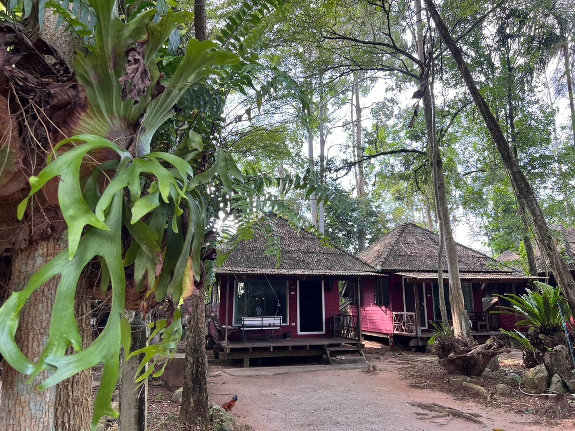 Pang Mai Resort Songkhla Esterno foto