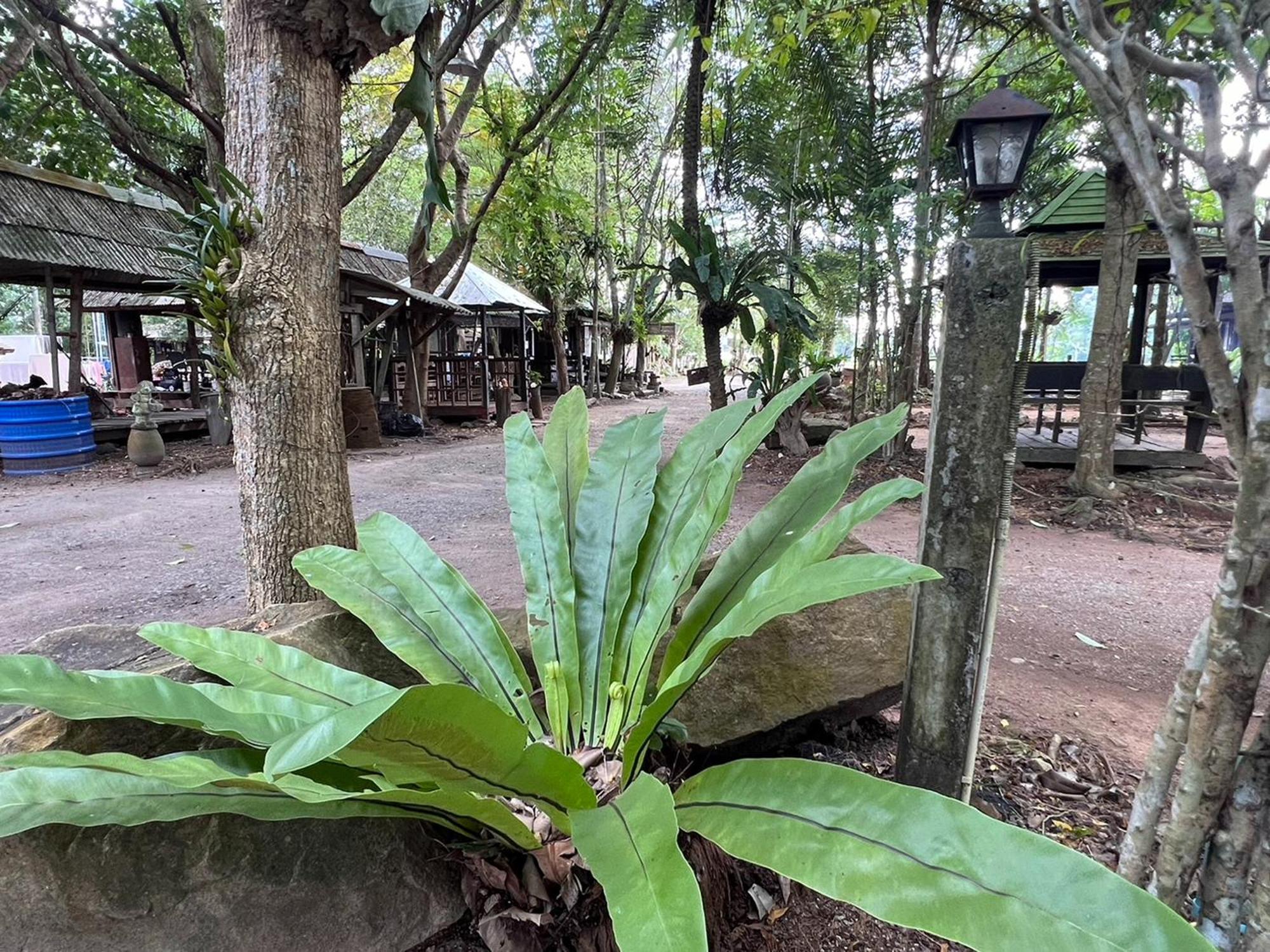 Pang Mai Resort Songkhla Esterno foto